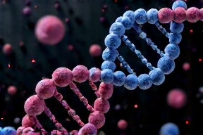 Y-Chromosomen-Akrobaten – Wenn Männer kämpfen, kämpfen sie gegen sich selbst