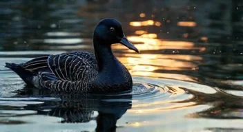 Die 6 häufigsten Fehler bei Migration