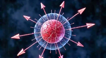 Die Dynamik der Zellteilung und Membranrecycling (5/10)