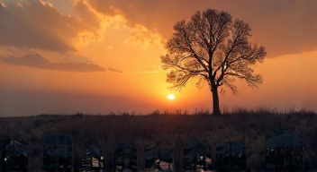 Einfluss der Einsamkeit auf die Psyche (2/10)