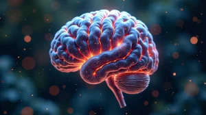 Gesichtserkennung: Wie unser Gehirn Gesichter entschlüsselt