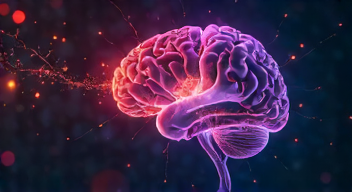 Ich erinnere mich an die transformative Entdeckung der Gehirnnetzwerke (1/10)