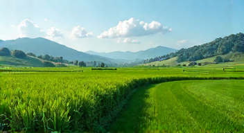 Soziale Gerechtigkeit im Agrarwandel (6/10)