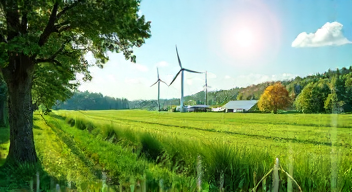 Ökonomische Überlegungen zum Umweltschutz: Kosten und Nutzen (8/10)