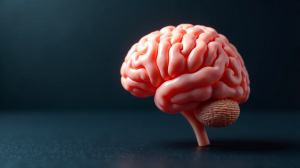 Wie das Gehirn auch im Alter leistungsfähig bleibt: Ein Blick auf die Wissenschaft