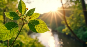 Biologische Aspekte der Frühjahrsmüdigkeit (3/10)
