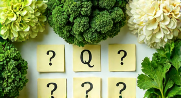 Die 5 meistgestellten Fragen (FAQ) zu Kohl