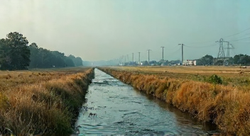 Die 6 häufigsten Fehler bei Umweltkrisen
