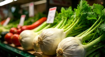 Die besten 8 Tipps bei der Auswahl von Kohl