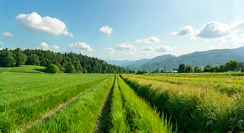 Einfluss der Landwirtschaft auf den Klimawandel (2/10)