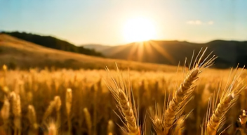 Ökonomische Aspekte der Nahrungsmittelproduktion (8/10)