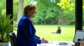 Politische Maßnahmen für Katzenwohlbefinden (9/10)